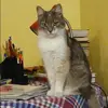 Отзыв от Валерия Плотникова